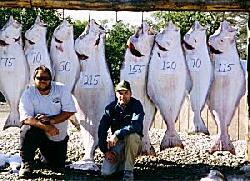 Halibut fishers