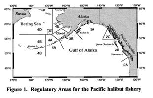 Halibut areas