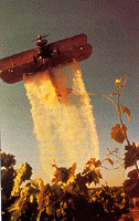 Pesticide spraying